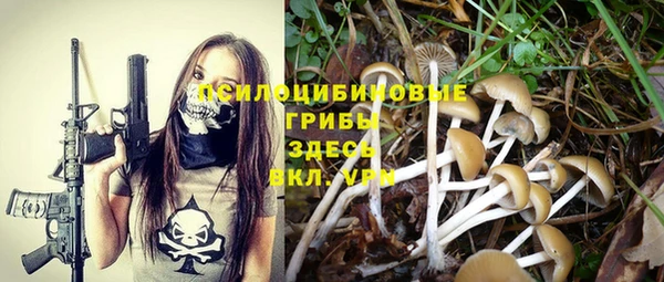 дурь Армянск