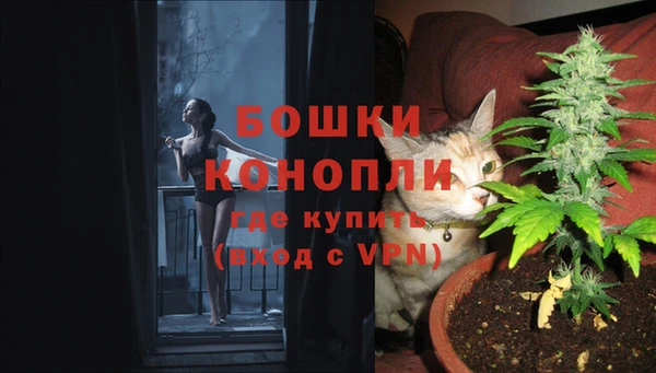 MESCALINE Аркадак