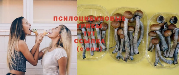 ALPHA PVP Пролетарск